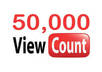 provide you 5,000 REAL YouTube views and 30+ likes on that video