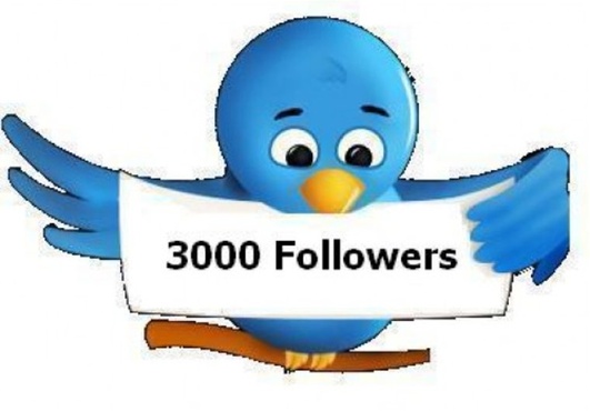 give you 2000 twitter followers in 4 weeks max big1