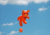 Kites_003