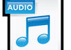 convert any audio file into MULTIPLE audio formats of your choice