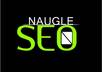 give you an SEO tutorial that will rank your website on the First Page of Google small1