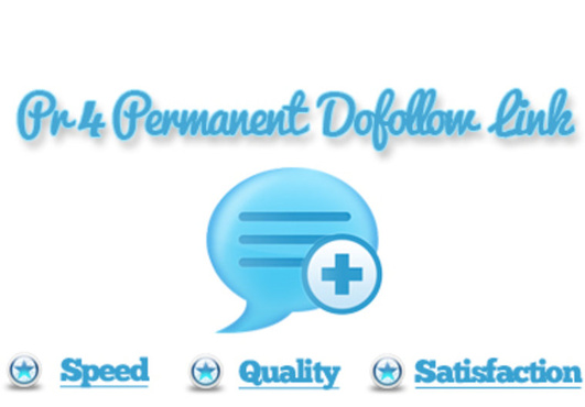 provide you 1 PR4 Permanent Blog max OBL 30 big1