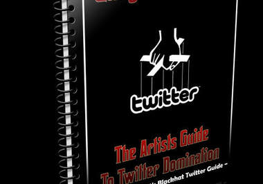 sell you Gangster Tweets, musicians guide to twitter big1