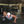 workoutguru