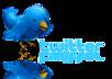 add 5,000 real looking twitter followers in 24hrs small1