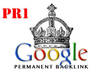 Google_pr1