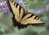digitally enhance/sharpen your photo