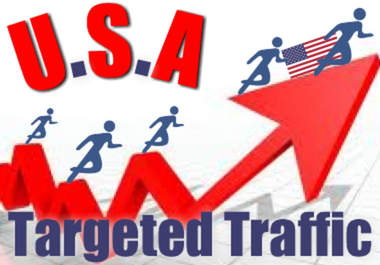 provide Real Targeted Website Traffic Hits From USA Visitors to Your Website to increase your Alexa and Google Ranking big1