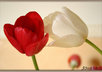 ask him or her to forgive you small1