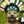 chiefball