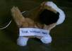 put your website address or message on a little remote control puppy small1