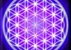 send you positive Manifesting Chi Energy for an hour to improve your whole day