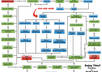 create A Flowchart For Your Mailing Campaigns Or Planning Your Website