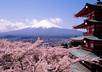 send you my ebook How to live in Japan