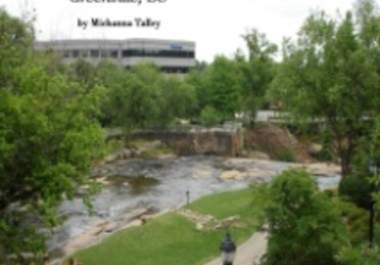 send you the screensaver, View of Falls Park big1