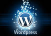 ++Give u Word press plugin to remove ur footer links and blogroll without damage theme++