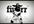 make two cows dance in front of your logo