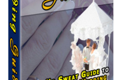 set up an INSTANT online ebook business on Wedding Guide big1