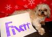 have my dog hold up a piece of paper saying your buisness name
