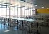 put 50 flyers in the cafeteria at the University of California