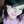 jaylene617