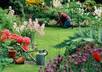 provide you with 553 Articles on Gardening and Landscaping