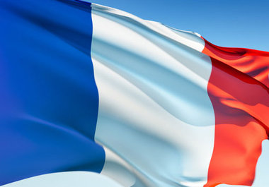 translate your English article into French language big1