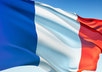 translate your English article into French language