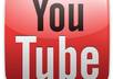 like, favorite and comment on 20 of your Youtube videos and subscribe to you small1