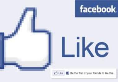 like and suggest your Facebook Fan Page, Blog, Products/Services to my over 3000 Facebook friends big1