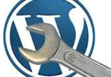 do wordpress installation/bugs/seo/customization for your needs big1