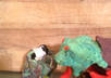 create a claymation stopmotion movie for your company