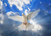 make you a custom Sympathy Video Greeting small1