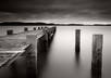 expertly turn up to 10 of your color photos into black and white small1