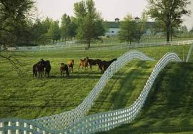 compile a list of great locations for you to visit on a trip to Kentucky big1