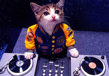 create a 15 minute mix of 5 to 8 of your favourite club/electro/house songs big1