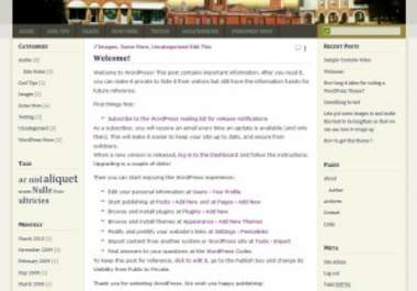 install a wordpress blog with cool themes and plugins big1