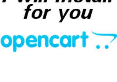 install OpenCart on your hosting or server big1