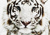 take any image/text and put it on a brick wall so it looks like graffiti through Photoshop small1