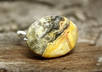 make a sterling silver Crazy Lace Agate Stone ring