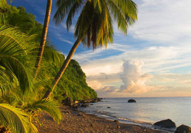 send anyone a handwritten postcard from nature island of Dominica to anywhere in the world big1