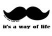 add a sweet mustache to your photo