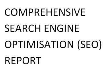 provide you with a thorough SEO analysis of your website or blog big1