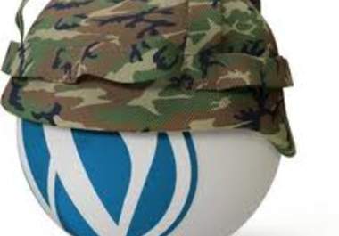 fix Your Wordpress Problem or Error or Issue or any wordpress services you require for your online business big1