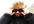 take an Awesome picture with your message written on my Sunglasses