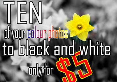 make TEN of your photos black and white big1