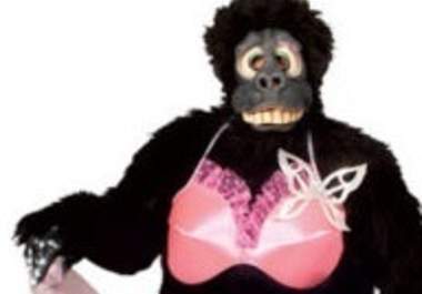 dance in my gorilla costume to any song for 2 minutes big1