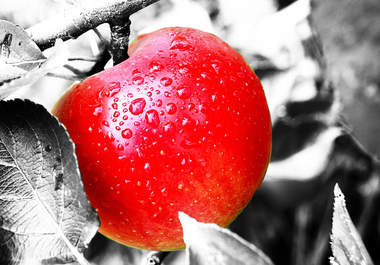 colour pop up to three photos big1