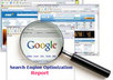 create 50 page detailed SEO Report for your website, and show you how to Rank first Page in Google for a specific keyword