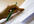 proofread up to 2000 word essays
